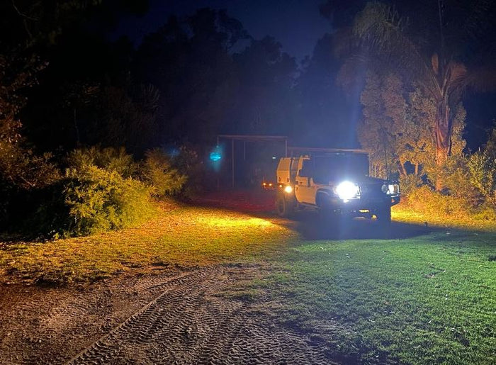 STEDI Micro V2 7.8 Inch 12 LED Flood Light (Amber) 2700K