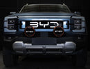 BYD Shark Type-X Pro Plus 8.5" NON-DRL Mounting Kit