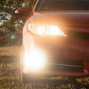 STEDI Boost Integrated Driving Light for Type-B Fogs