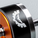 Support pivotant Stedi