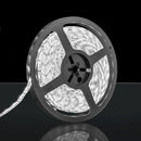 STEDI LED Strip Light 12V Waterproof 5m Roll