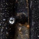 Bouchons de valve de pneu STEDI