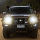 STEDI TYPE-X Mask Sticker